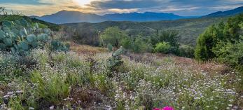 0820_ScenicDrive_GreenbackValleyRd.jpg