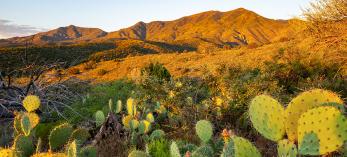 0920_BlackCanyonTrail.jpg