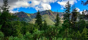 1019_HaiglerCanyon.jpg
