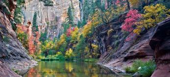 1020_WestFork.jpg