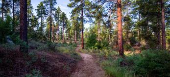 1119_WolfCreekLoop.jpg