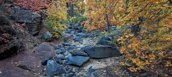 1120_Bear_Sign_Trail.jpg