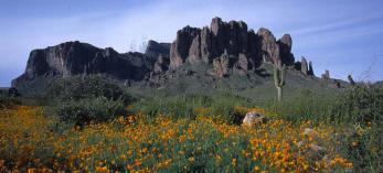 attr_stateparks.jpg