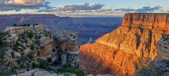 treerose photography grand canyon.jpg