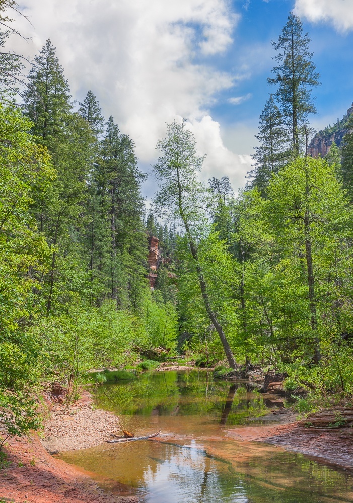 The Slide Fire One Year Later Arizona Highways
