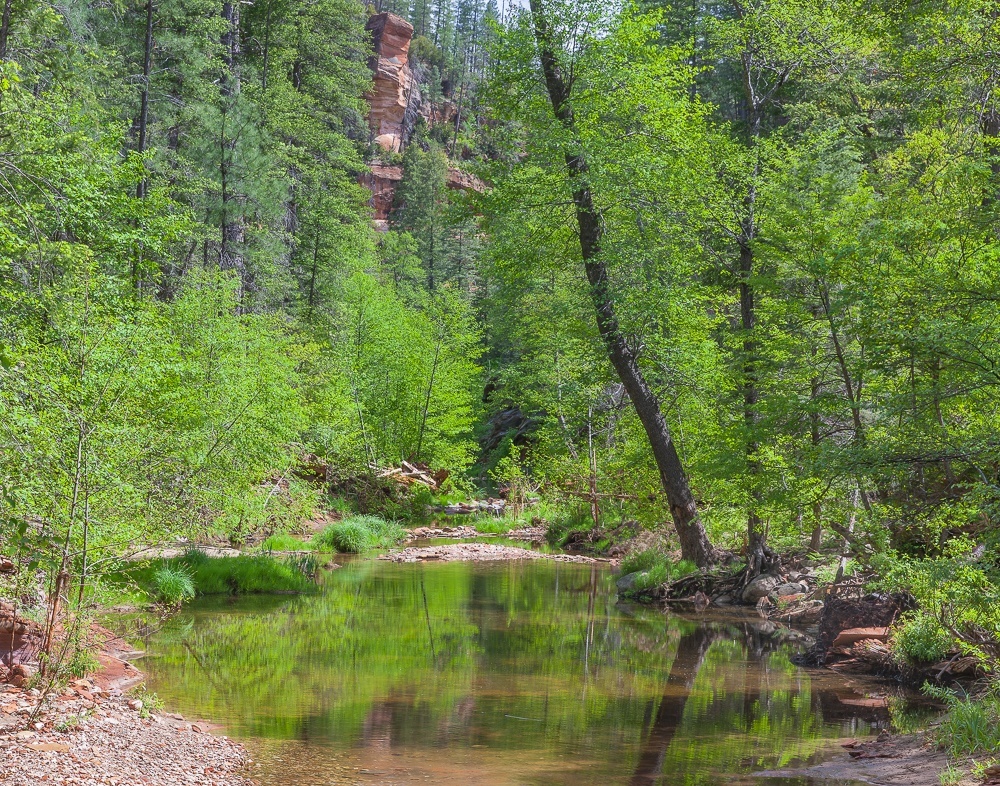 The Slide Fire One Year Later Arizona Highways
