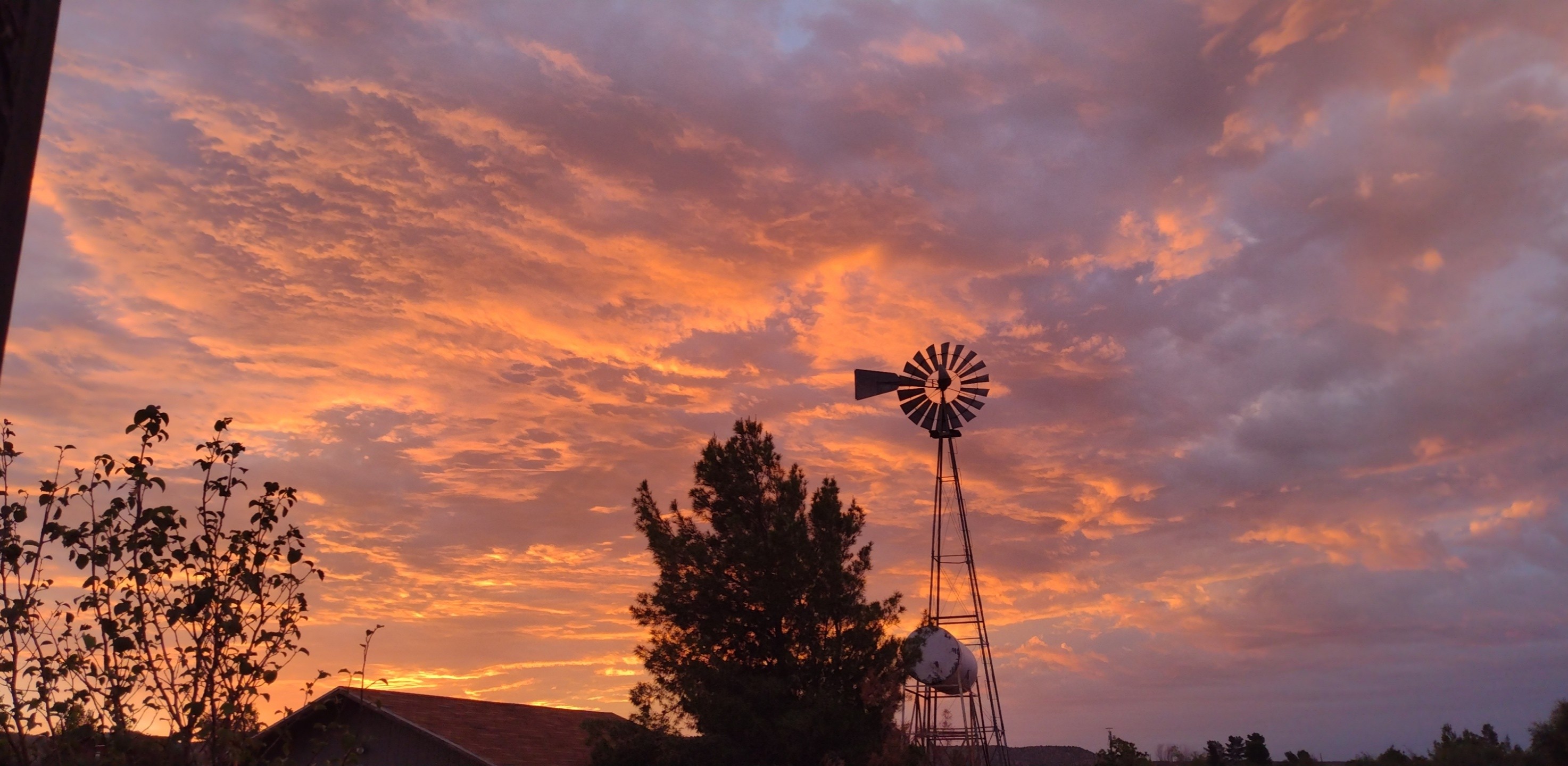 Photo by Summer  |  Another Beautiful Windmill Sunrise