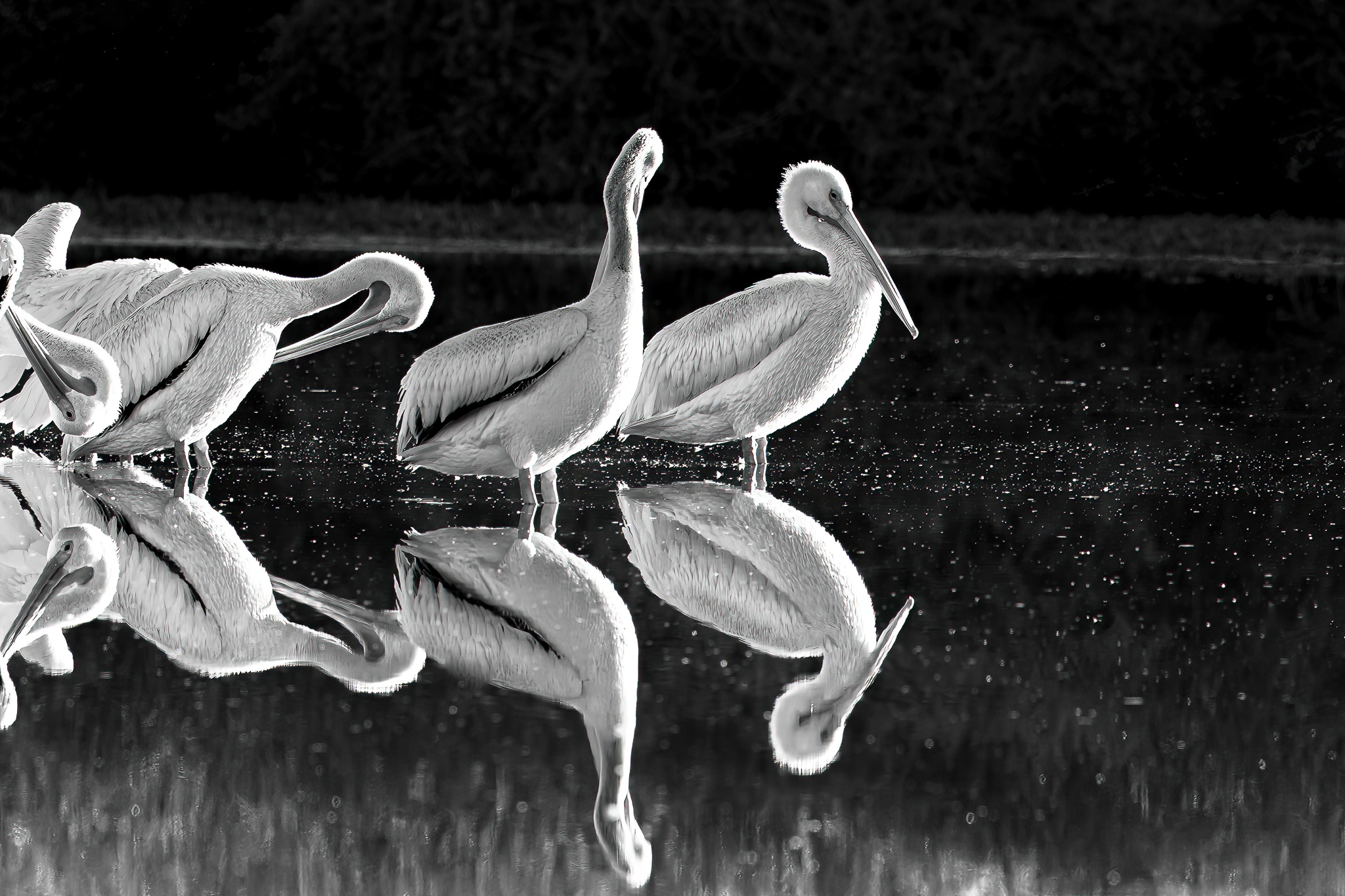 Photo Contest Arizona Highways