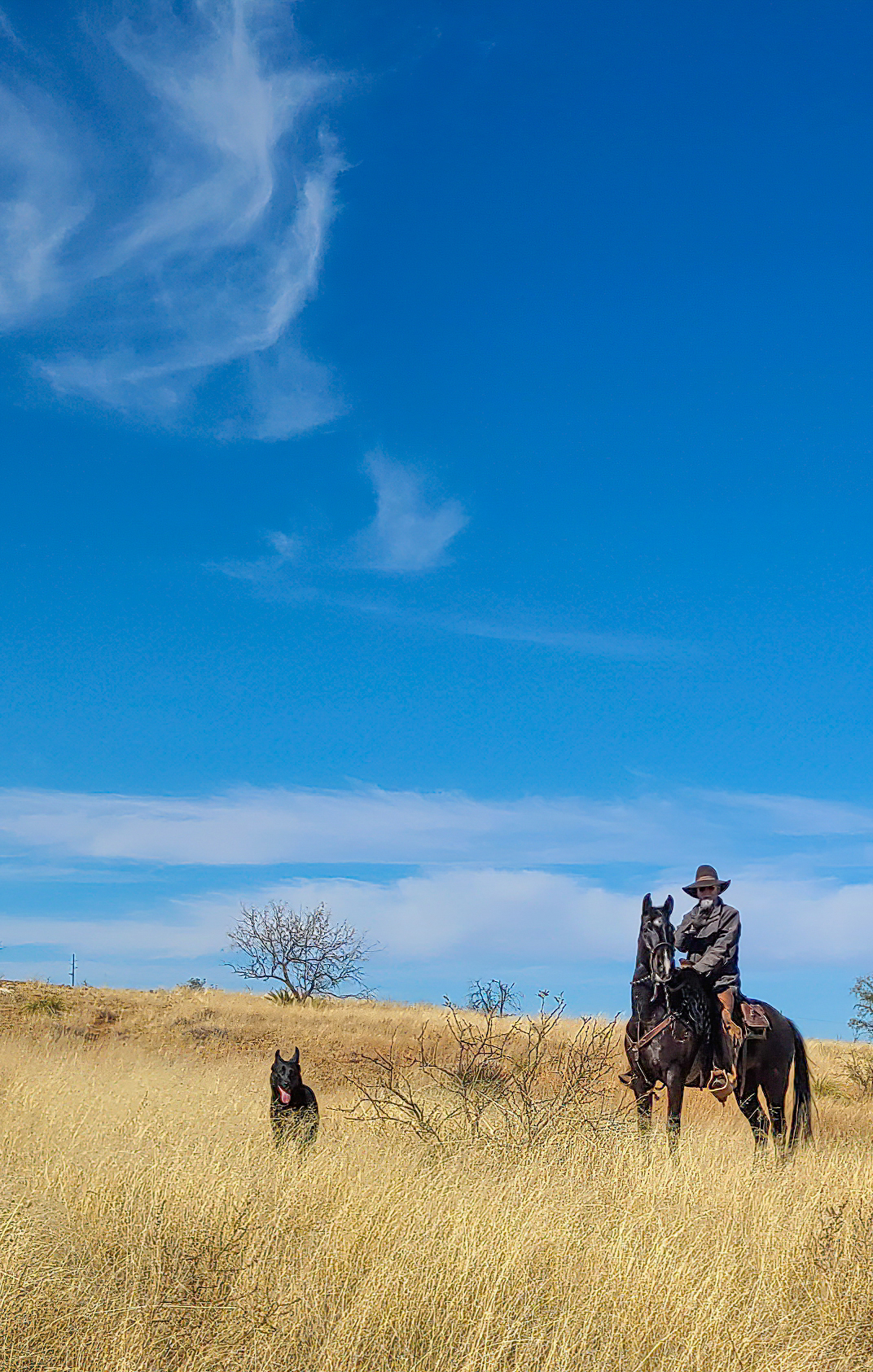 Photo by Beth Lierman  |  While off-roading in the Santa Rita Mountains, we happened upon a cowboy and his dog.  I quickly picked up my phone and took the picture while bouncing around in our side-by-side 4-wheeler.