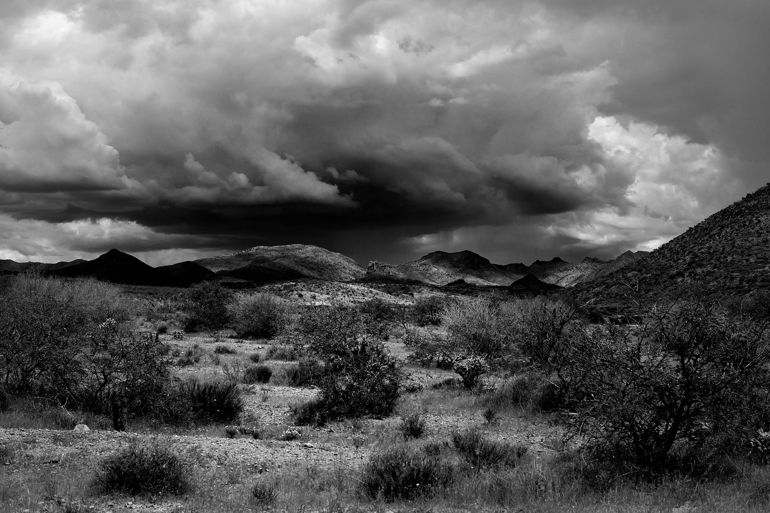Photo by James Dell  |  In the desert an approaching Monsoon Storm near Morning Star Ranch in NE Rio Rico