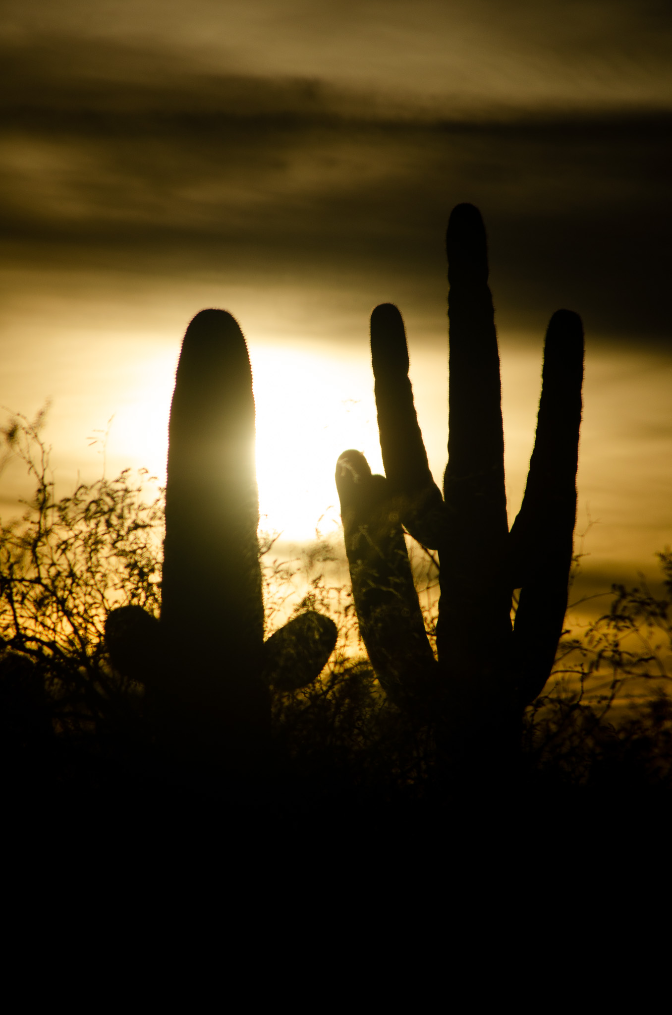 Photo Contest Arizona Highways