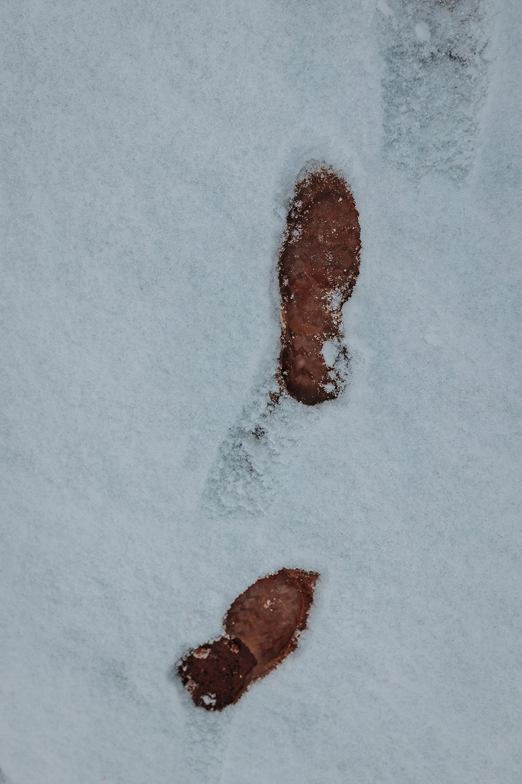 Photo by Diana Lustig  |  Foot prints melt the recent snowfall in Sedona. 