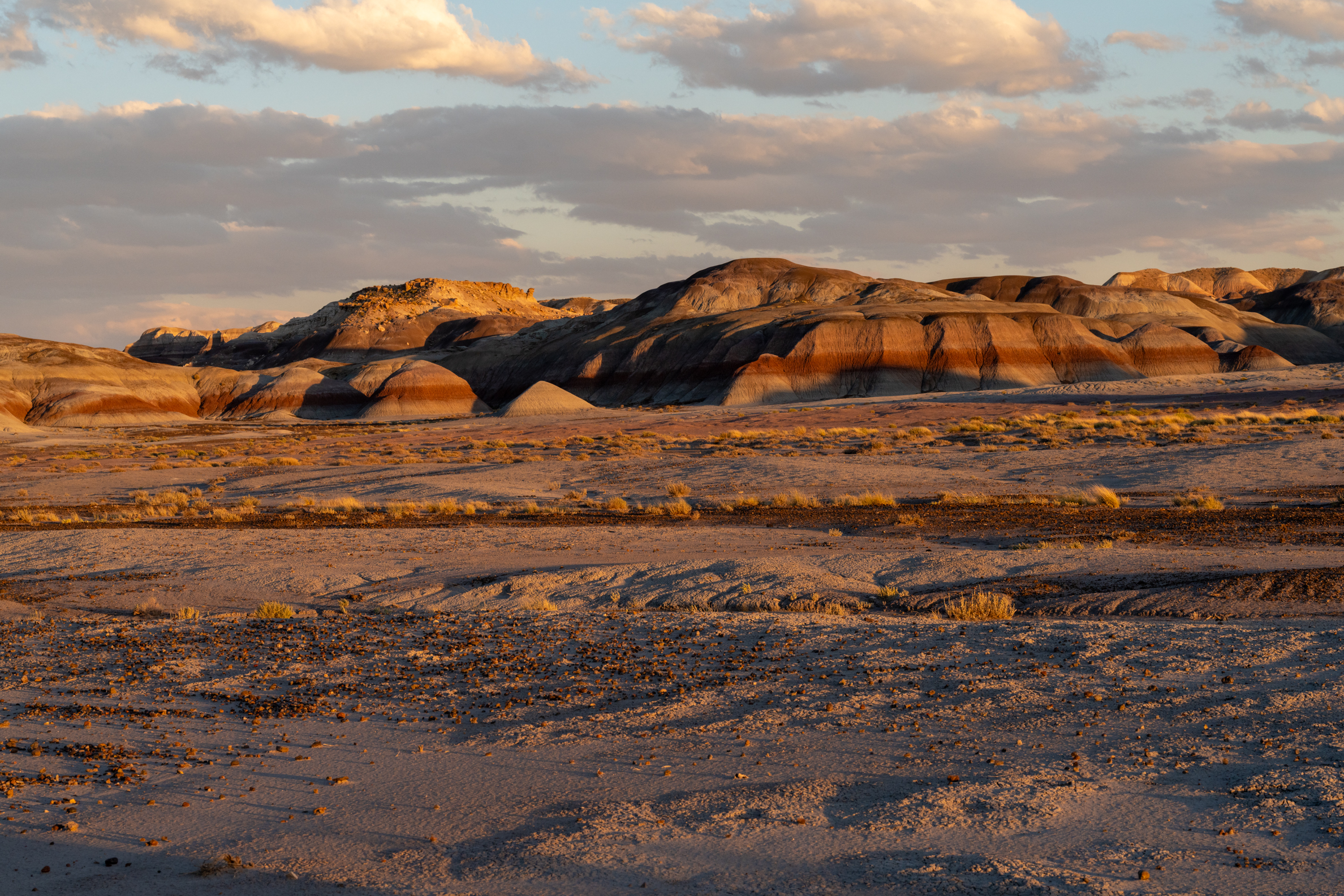 Photo by David E Robinson  |  Petrified Forest National Park at golden hour