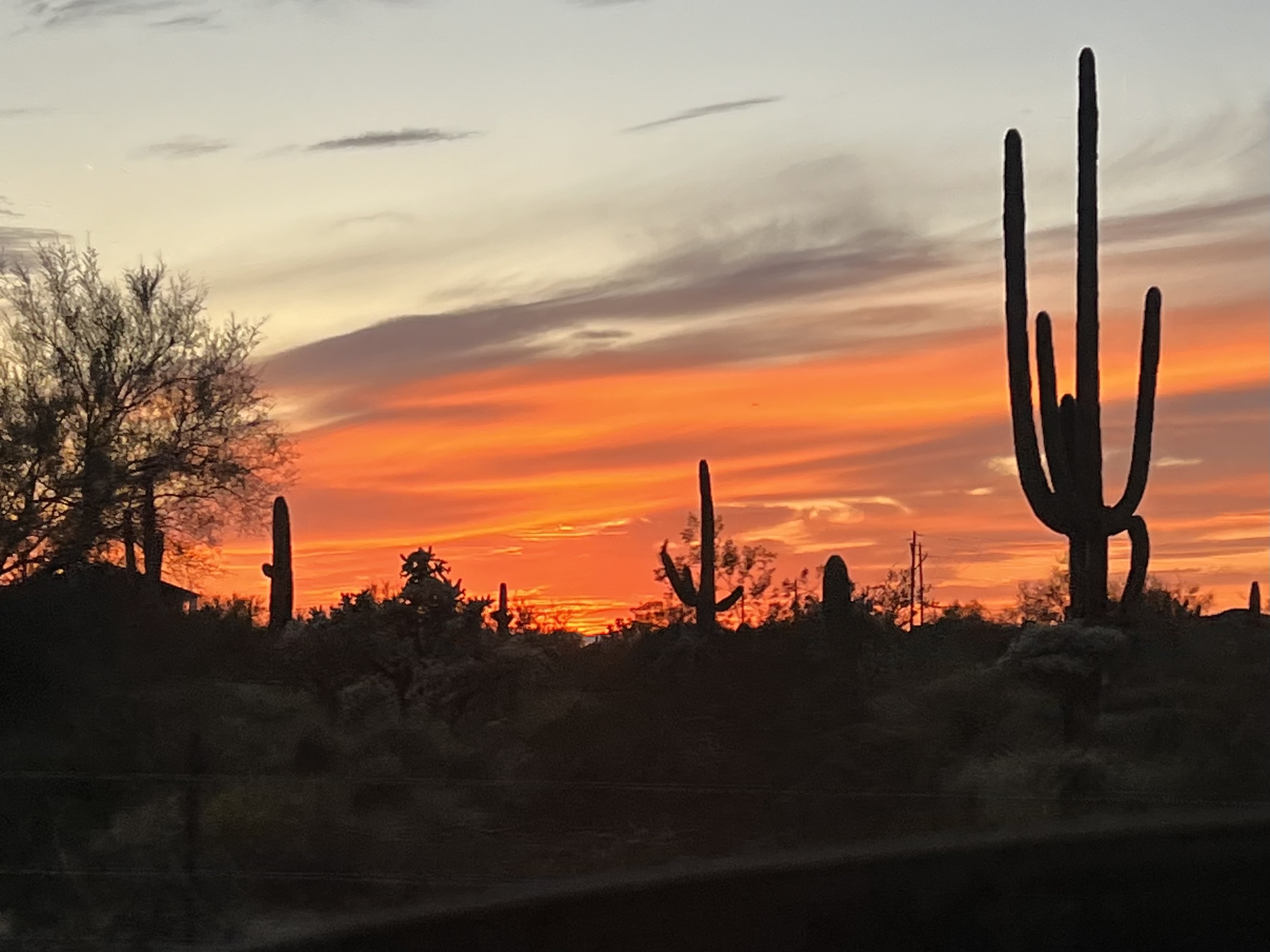 Photo by Alisa Nelson  |  Sunset at Usery Mountain Regional Park 