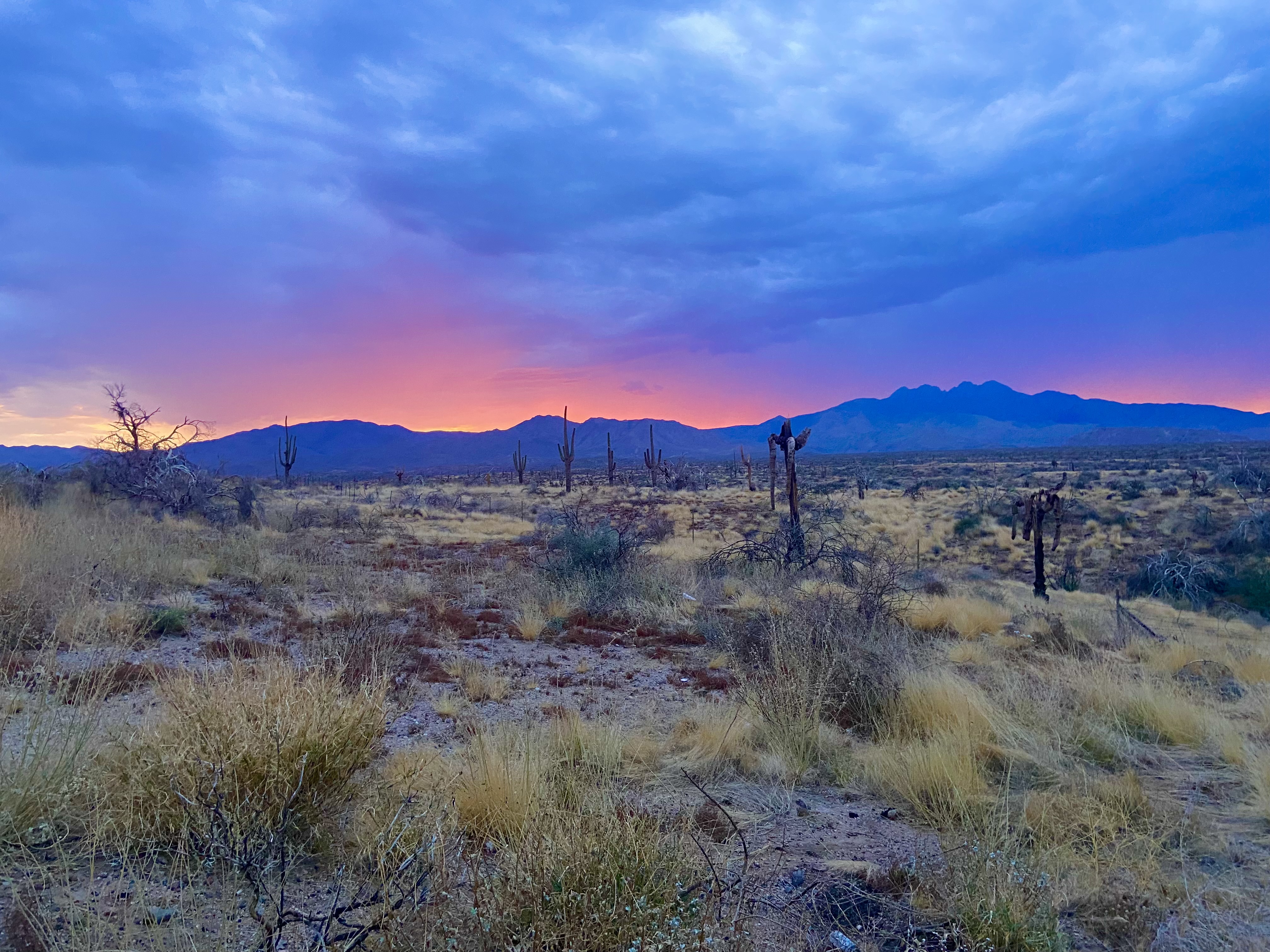 Photo by Lori Napoli   |  Storm rolling in as sunrise approaches over the Superstition mountains 
