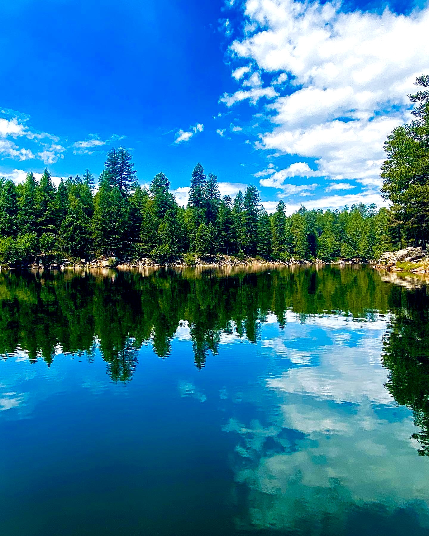 Photo by Lori Napoli   |  Reflections of Clouds & Pine Trees on Woods Canyon Lake 