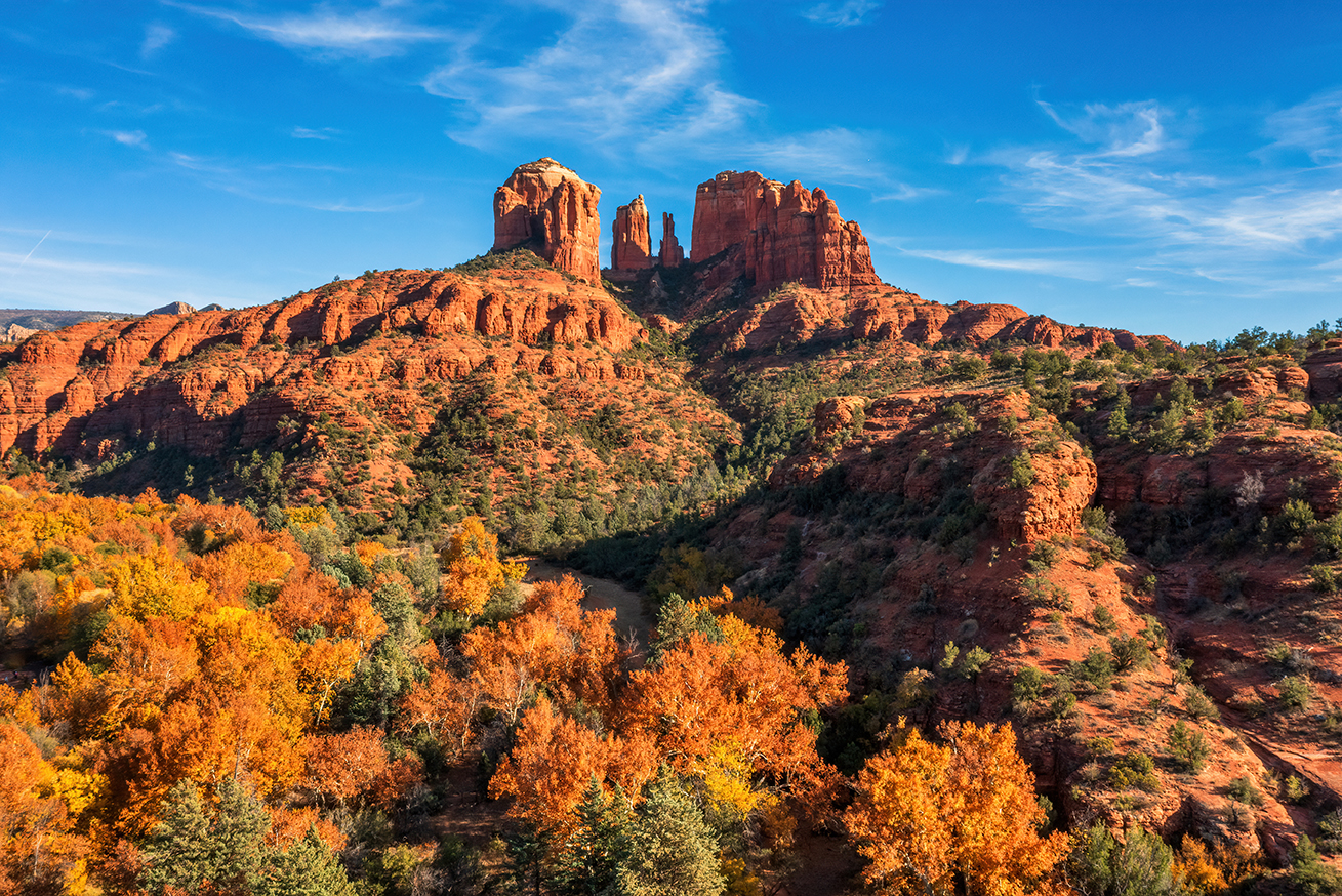 Photo by Theresa Rose Ditson  |  Cathedral Rock surrounded by trees turned to shades of golds and yellows in autumn.