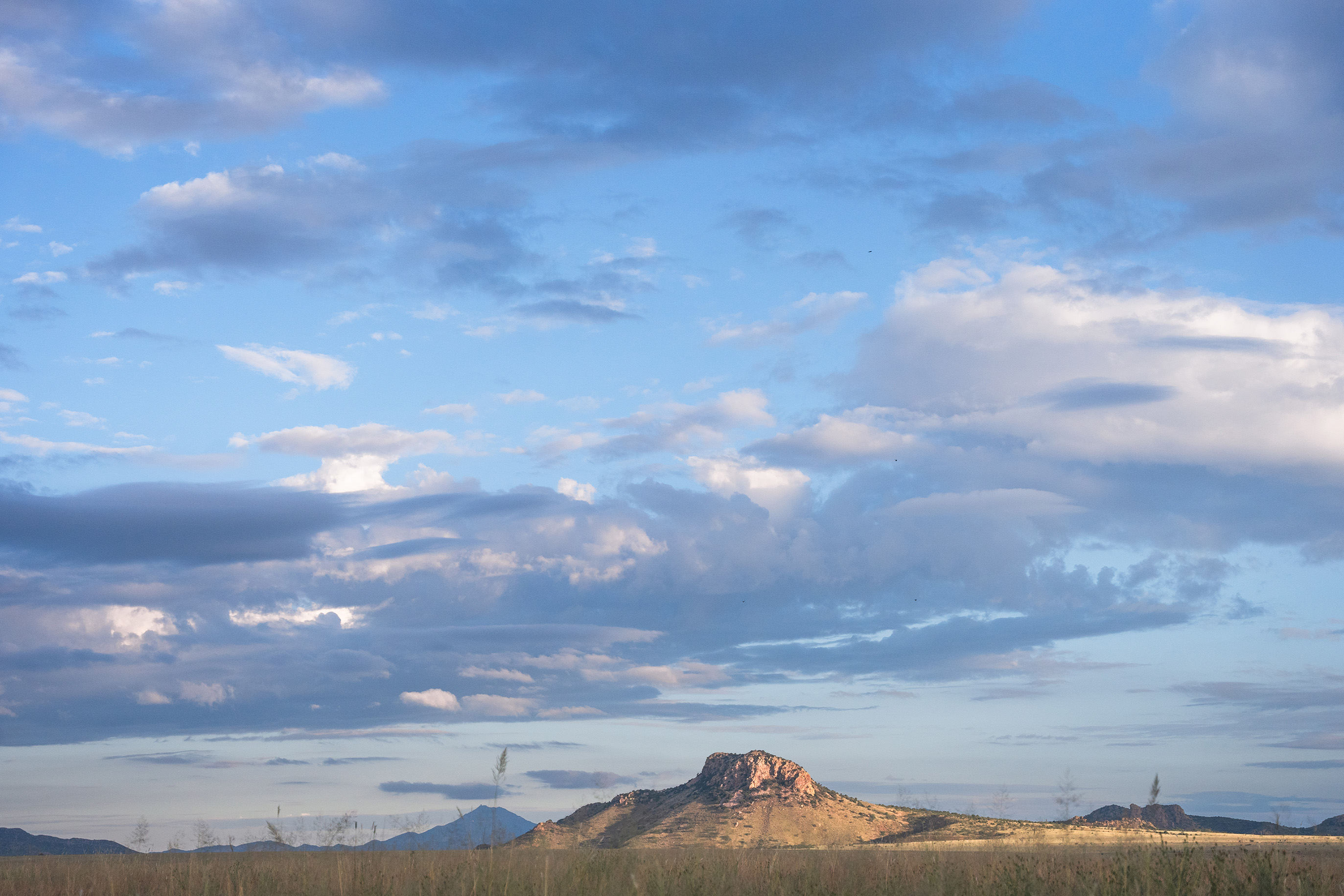 Photo by Samantha Kathryn  |  Morning light in southern Arizona.