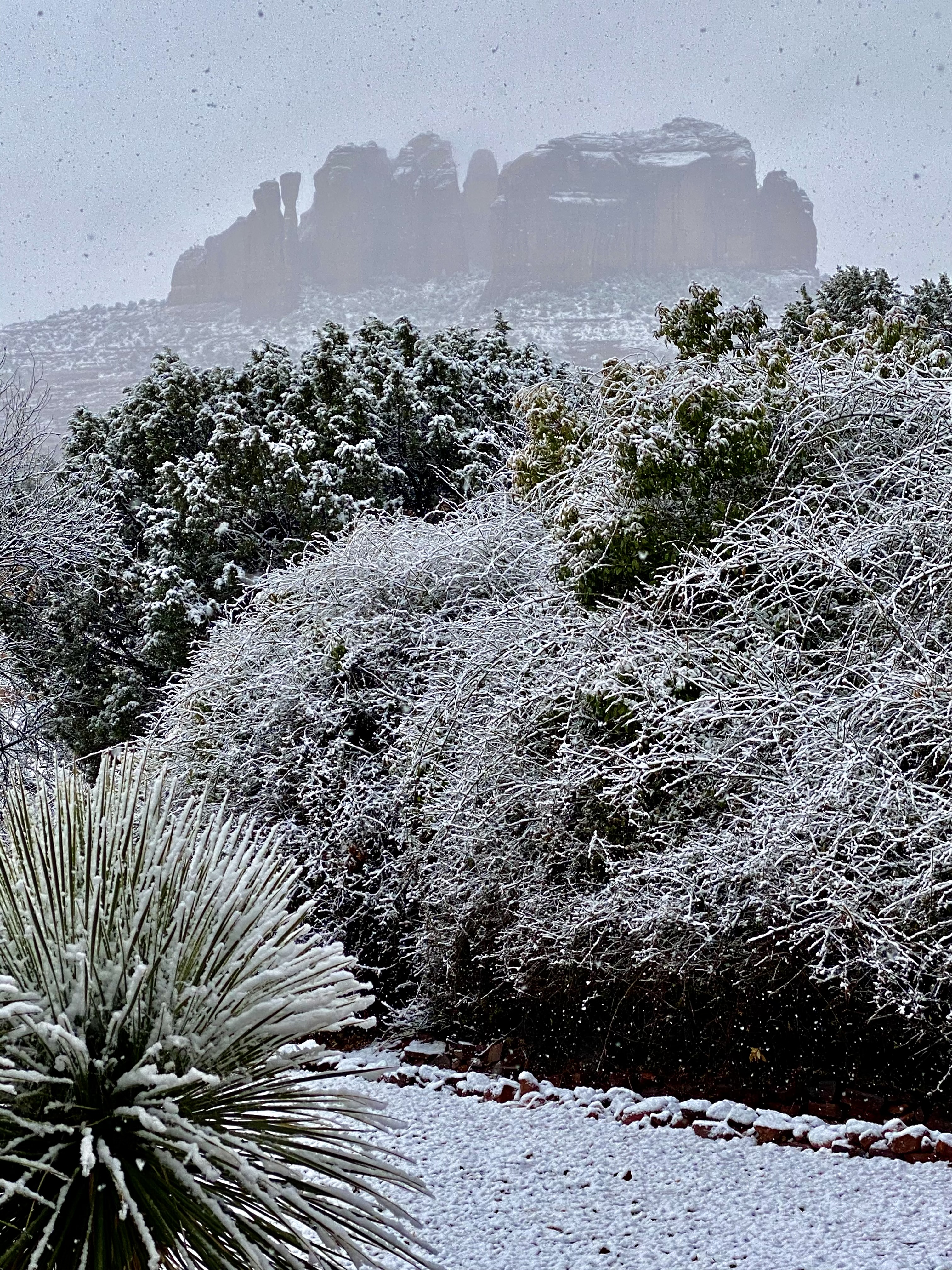 Photo by Lisa Renee Ludlum  |  Let It Snow … Sedona blanket in snow creating a mystical winter wonderland whiteout 