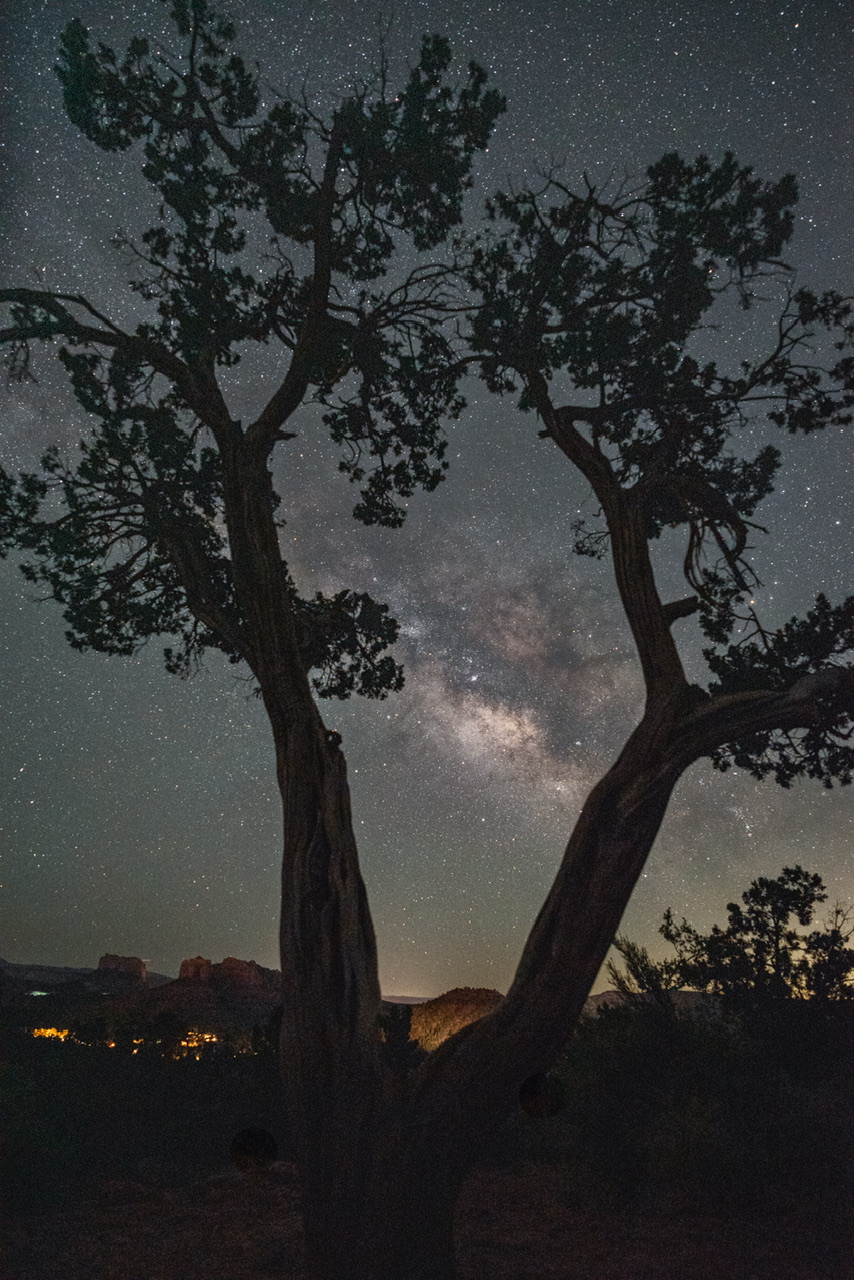 Photo by Wendy Islas  |  Milky Way through the trees in Sedona.