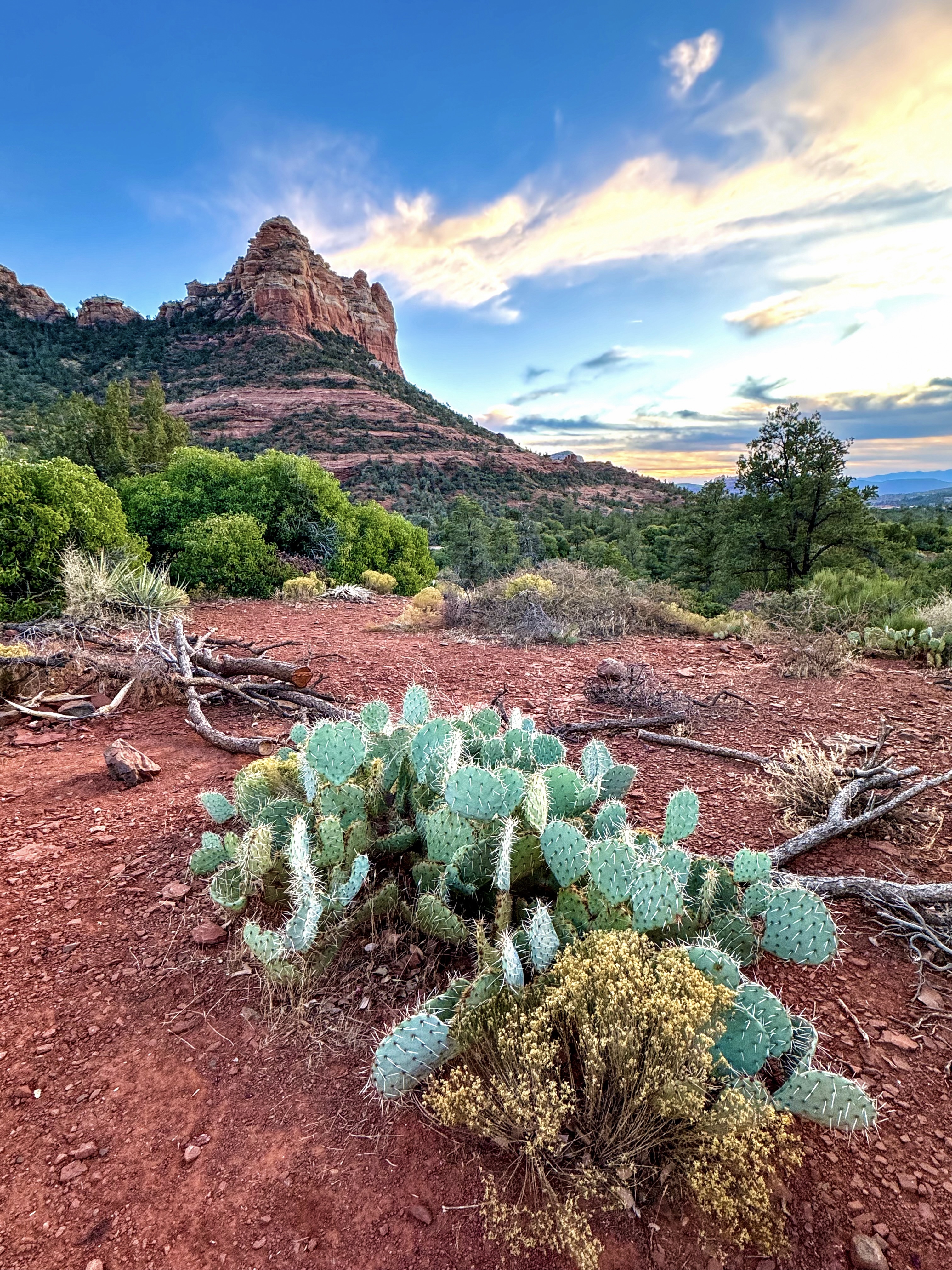 Photo by Lisa Renee Ludlum  |  The best kept secret location in Sedona for the painted sky glorious sunsets viewed from the amazing vast Schnebly Hill 