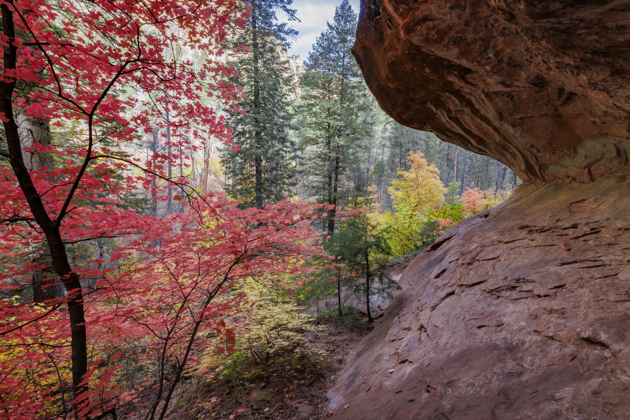 Photo by Mark Harriman  |  A very interesting hillside red rock formation contrasts with pretty fall color. 