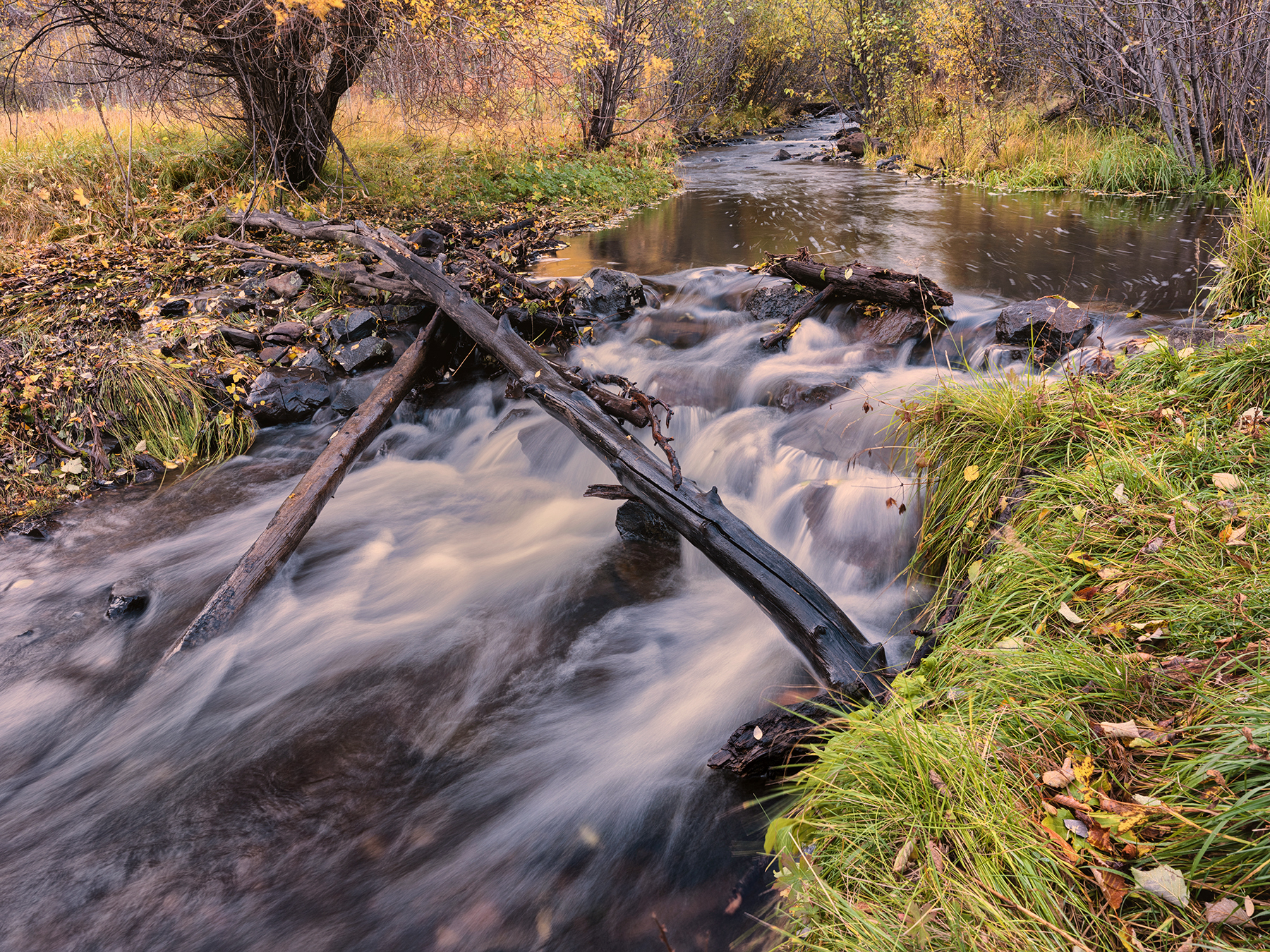 Photo by Marcus Reinkensmeyer  |  Cascading waters in an enchanting autumn scene, adding a bit of intrigue to our hike on Government Springs Trail, in Eastern Arizona. 