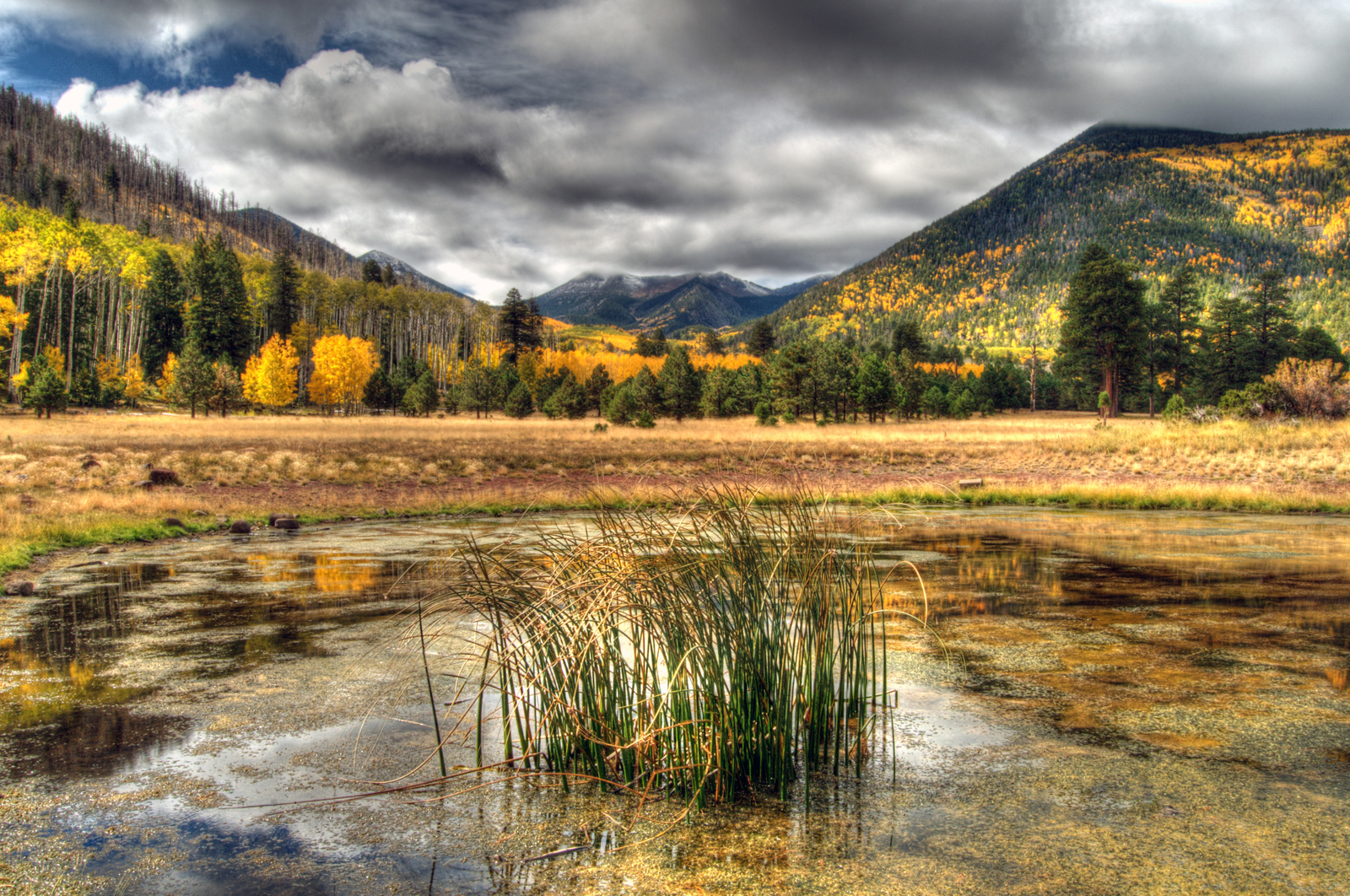 Photo by Tam Ryan  |  "Autumn Reflections at Lockett Meadow" in Flagstaff. 
Beneath a dramatic, cloud-filled sky, autumn paints the San Francisco Peaks in brilliant shades of gold, amber, and evergreen.  