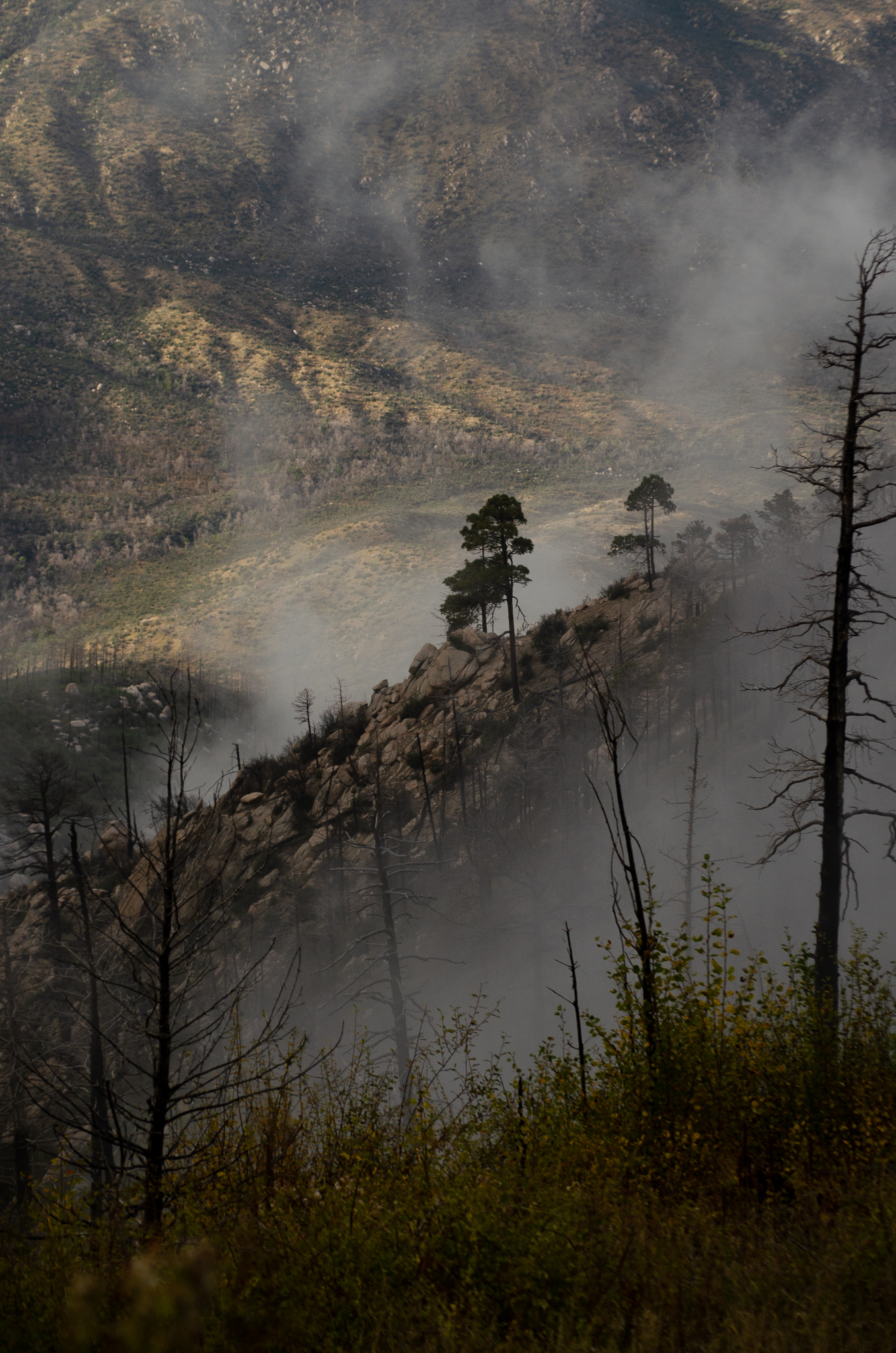 Photo by Grace Shepard  |  Fog floating through the valley alongside the peak of Mt Lemmon