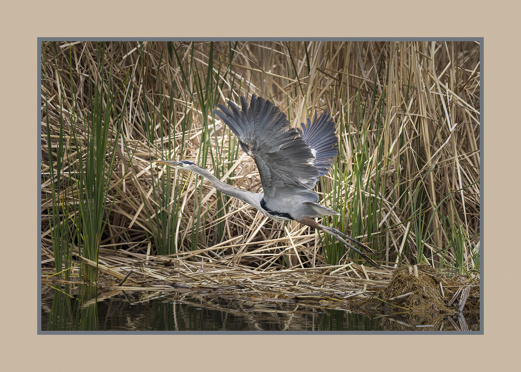 Photo by: David Curtis  |  