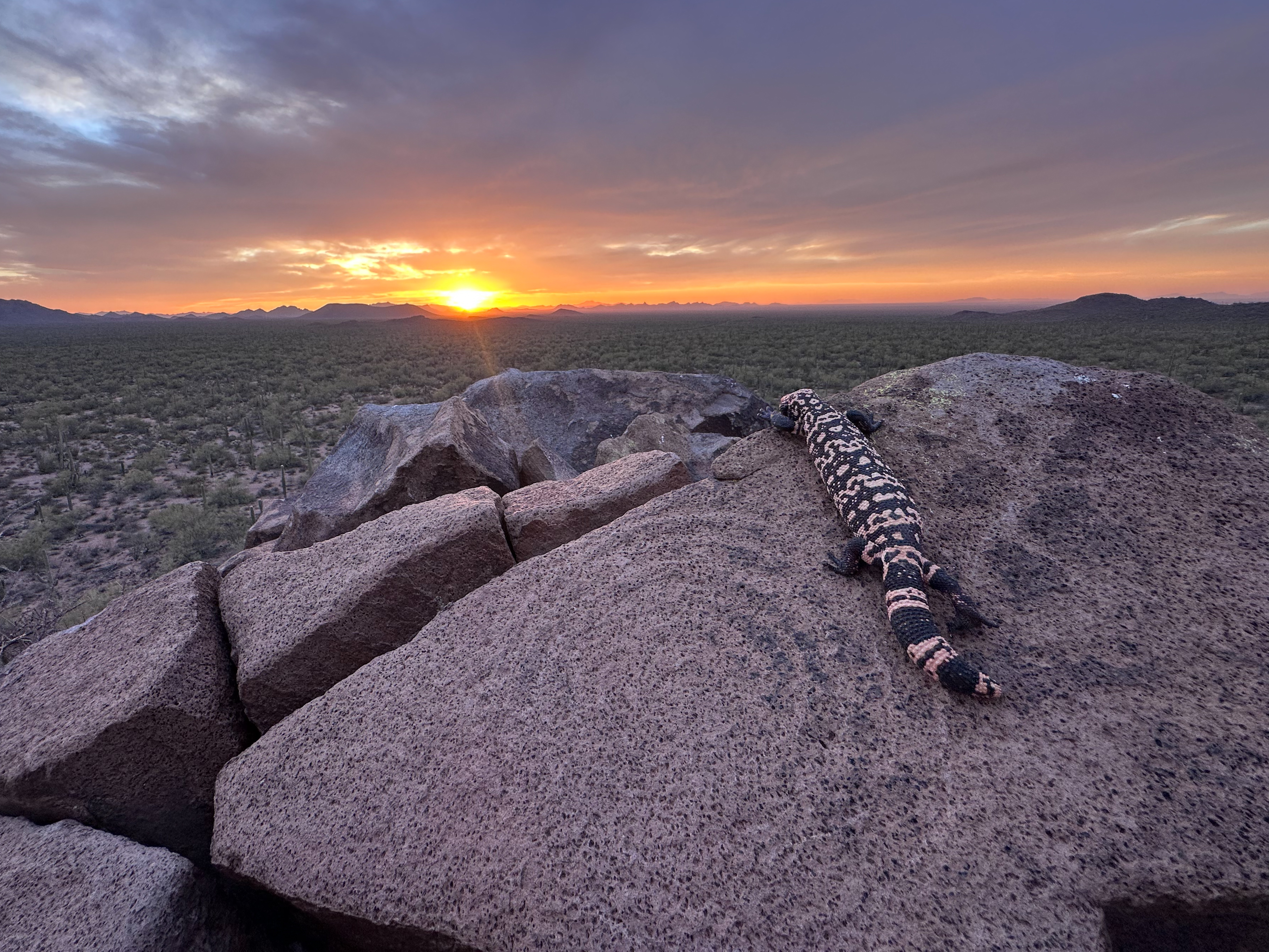 Photo by: Jerry D McCulley   |  