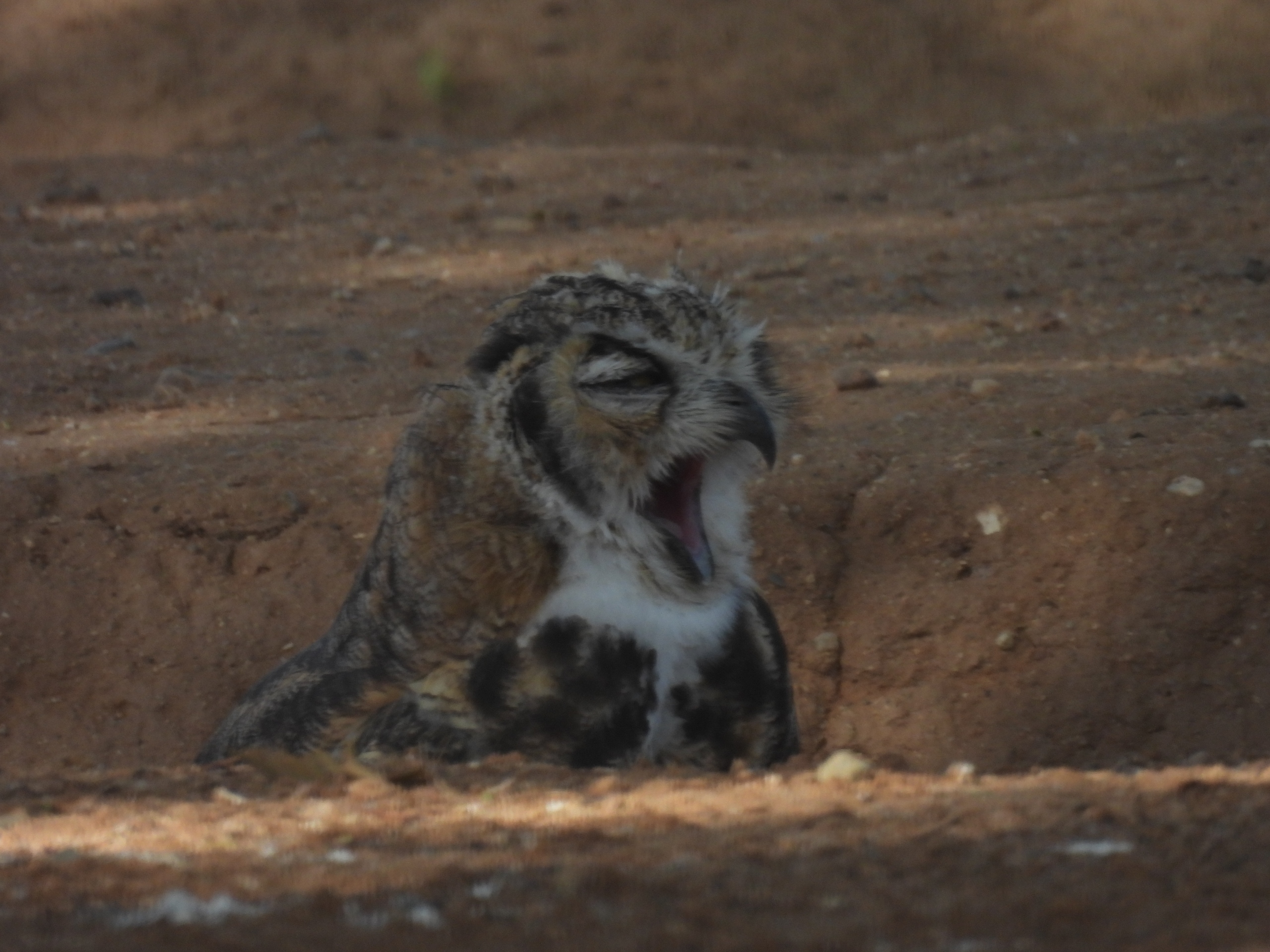 Photo by: Glenna Klassen  |  